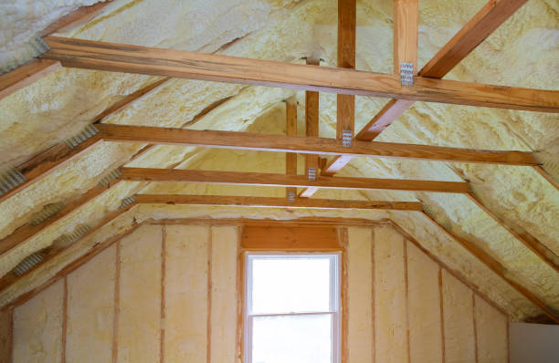 Best Insulation Contractor Near Me  in Buena Vista, CO