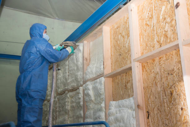 Trusted Buena Vista, CO Insulation Contractor Experts
